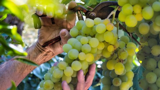 ���� ������ ����: ��� ������� ������ ���� �� �������