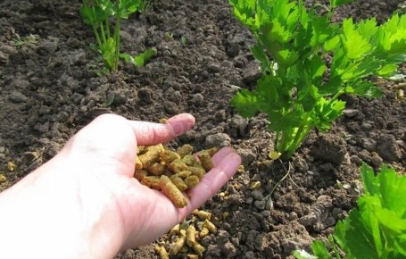 ��������� ����: ������� ������������ ��������� ��� ������ �������