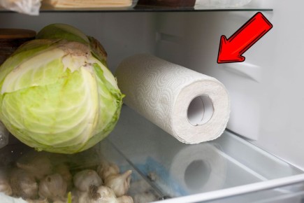 Почему бумажное полотенце в холодильнике — ваш новый лучший друг