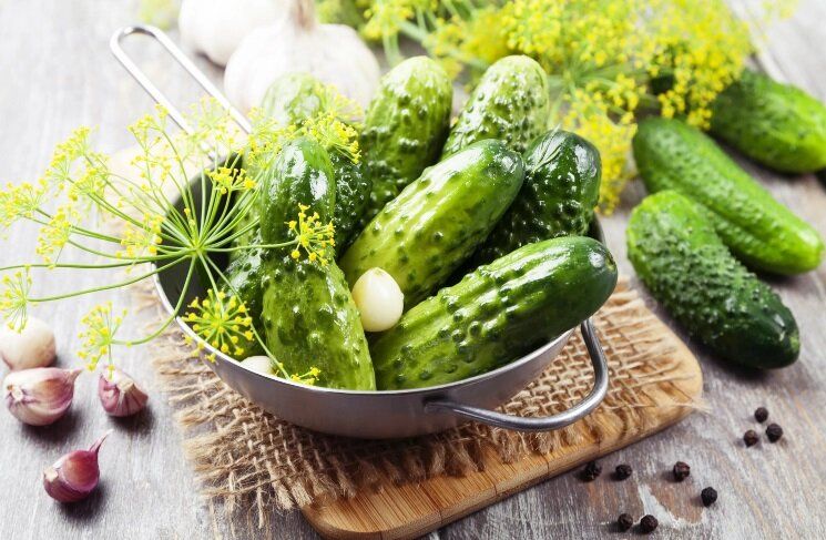 ��� ������� ������ ����� ������� ��� ���������������