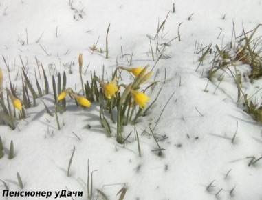 ��� �������� ������� ������������� �������� ������