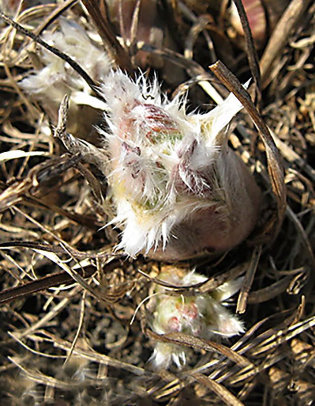 ��������: �������� ���� ������ ����