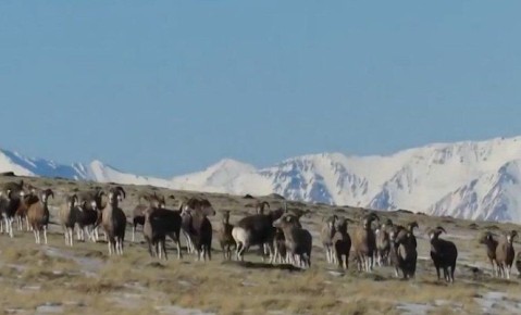 �������� ������� � ������ ������ ������������� ������ � �������� ����������� ����� �� ��������� ������