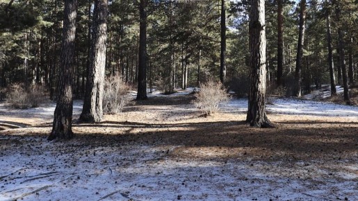 ������������� ����� �������� � 20 ����� � �������� ���� ������� � ����������