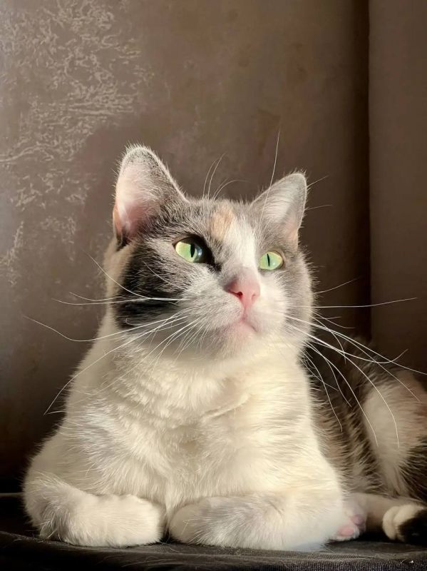 ������ ����, �����������. ������ ��� ��������� � ������� ���, ���� ����� � ��� ��������� �������