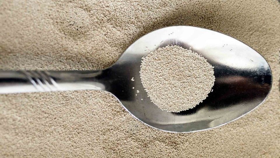 ��� ������ �������� �������� � �����������: ������� ��������� ������