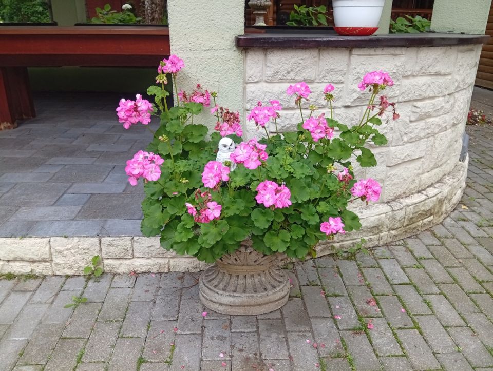 ���������� ��������� �� ����� ������: ��� ����� ��������� �������