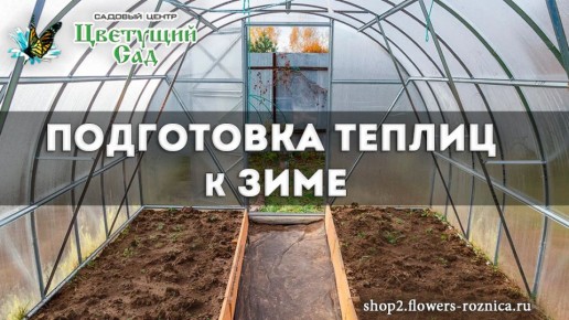 ��� ����������� ������� � ����: ������� ��������� ������