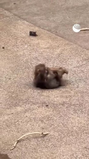 � ����� ��������� ��������