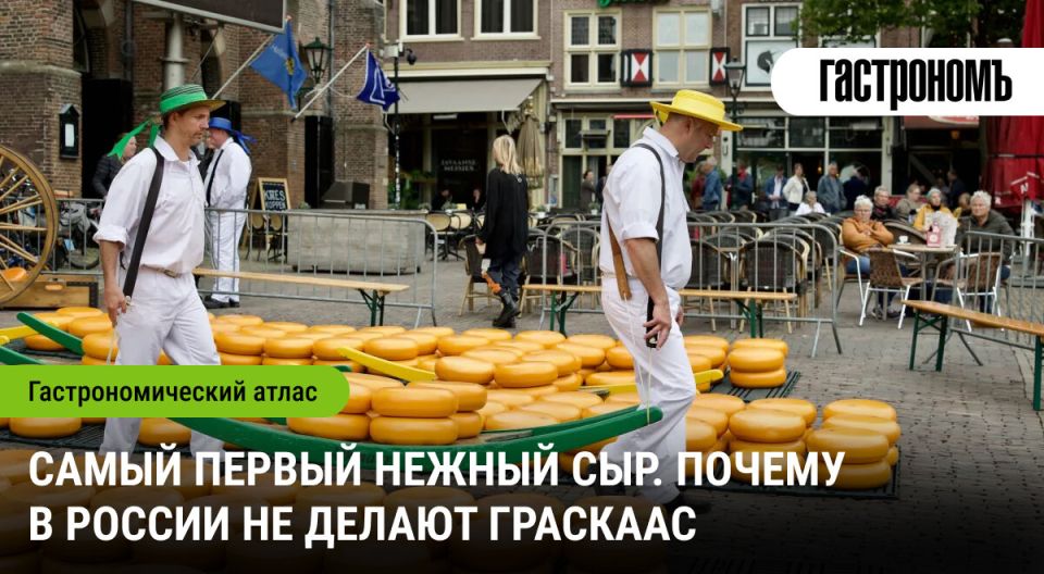 Граскаас: удивительный травяной сыр из Нидерландов