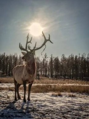 ������ ����. ����� ��� ���� ������� ������������, � ���, ��� �� �������� � ���������� � ���������