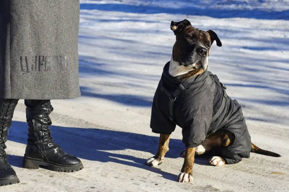 ������ ����. � ��� � �������, ��� ������� � � ��������