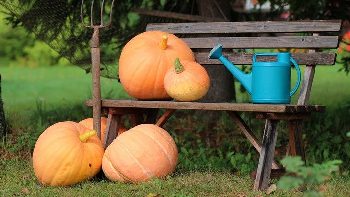 ��� �������� �������� ���� ��� �����: ������� ��������� ������