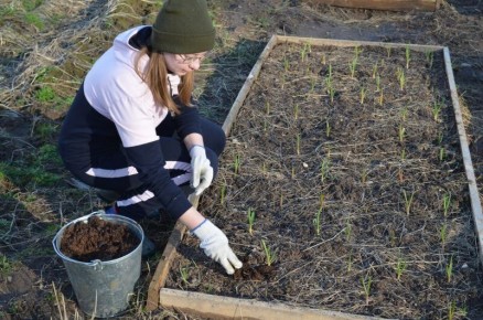 ��� ��������� ������������� ������ ������: ������ � ����� �������� ���������