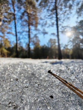 ������ ����, ����������! �� ��������� �������, 20 �����