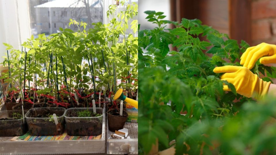 ��� ������� �������� �������� ������� ������� ������� � �������