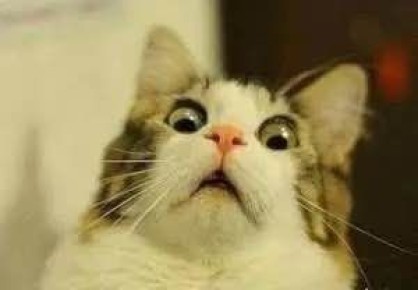 �������� ������� ���������? ��� ��� ����!!!