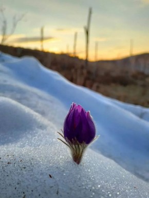 ������ ����, ����������! ������� � �������, 21 �����