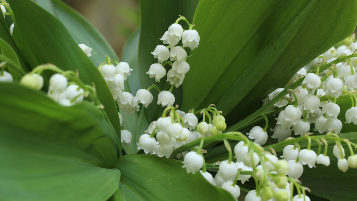 Новые правила рассрочки: что ждет россиян с 1 апреля