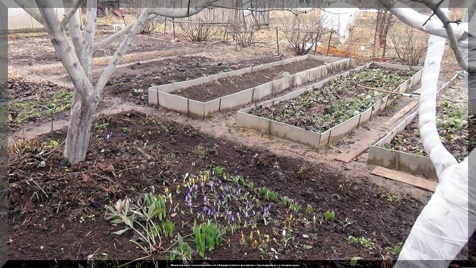 ���� �� ����: ��� ����� ������ ������� � ���� � �������