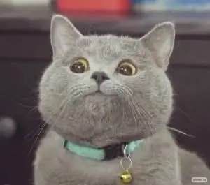 ����� �� ������, ��� ������� ������ ���������