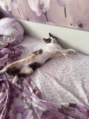 ��������� ����, ������. ����� ��� ��������� ����� ������� � ������ ���