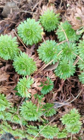 ����� ��� ���������� ������: ����������� � �������������� �������