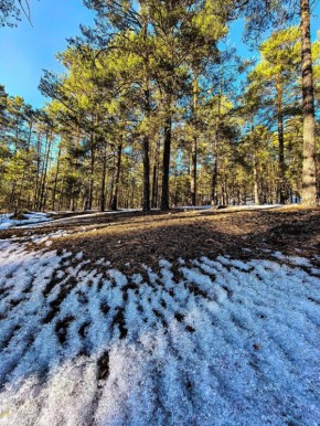 ������ ����, �����������!. ������ ��� ��������� ��� � �������� ����������! ��������� ���� ���� � ������� ����: �������� ������� @zabrtk | MAX | VK