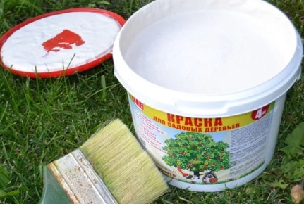 ��� ��������� ������ ������� � ����� ������� ���� ������