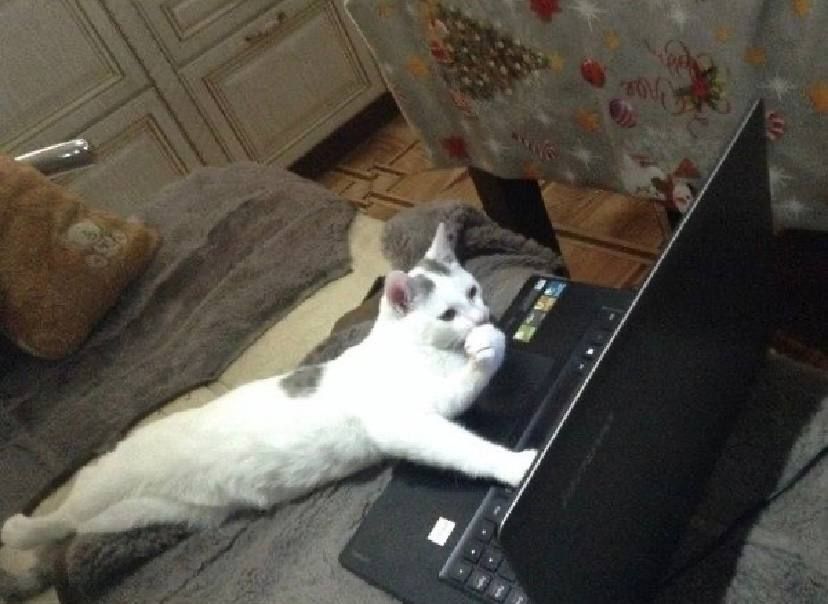 Так-так, сегодня розыгрыш вечного календаря