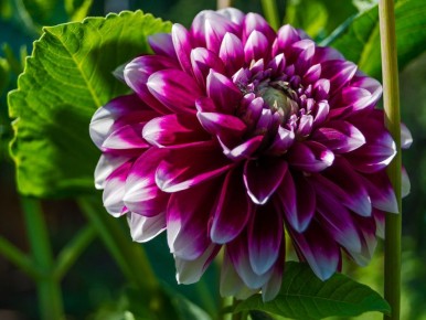 ��� ��������� ��������: ��� ������������� ������ � ����� ������������