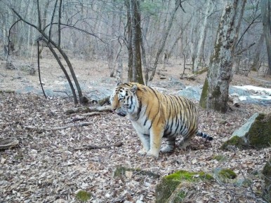 � �������� ����������� ����� ����� ����������� �����