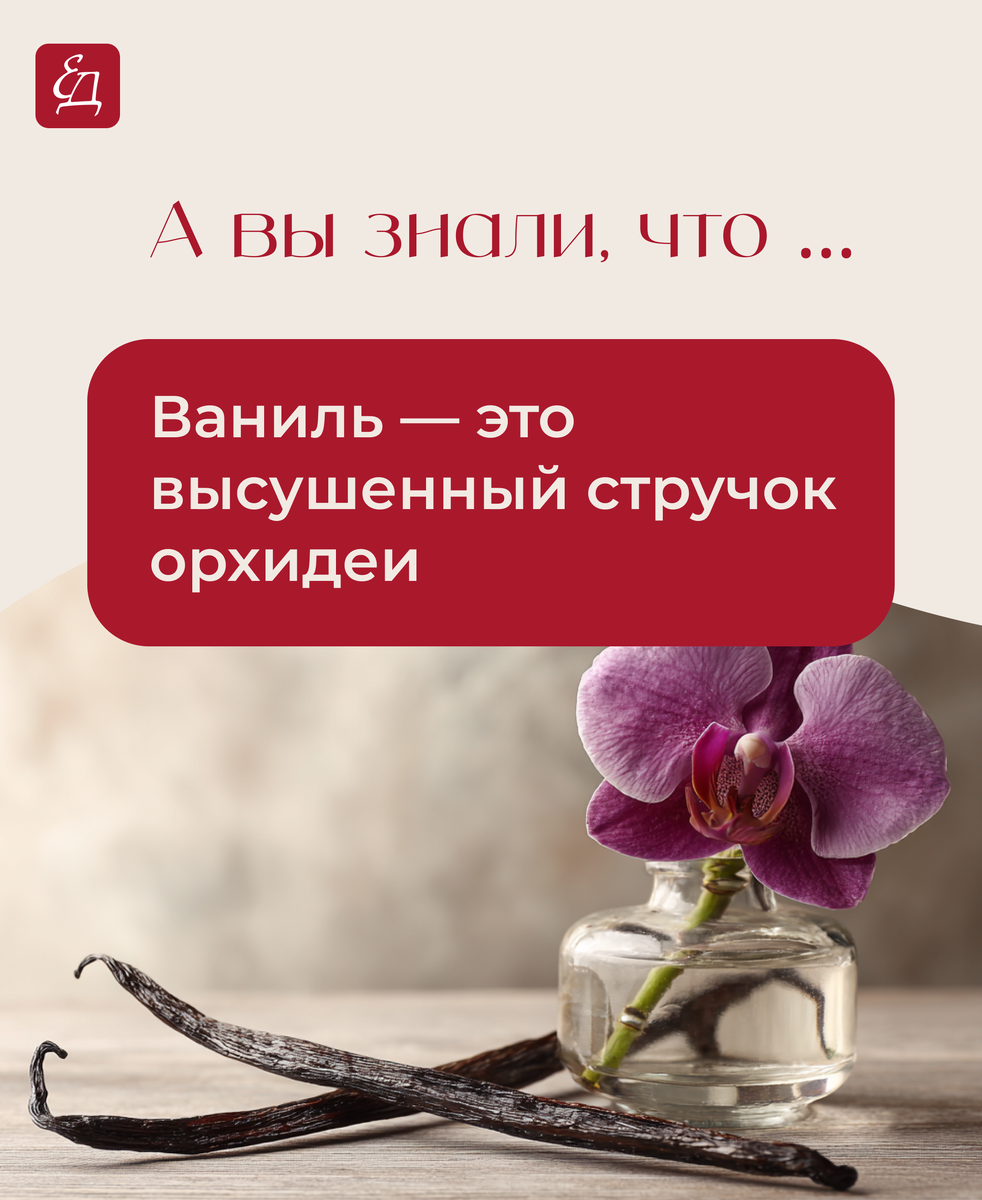 Необычные факты о привычных продуктах