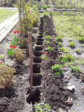 ���� �� ��������: ���������� ������ ������� � ������ � ��������� ��������