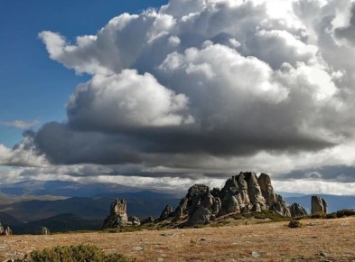 ������ ����, �����������! ��������� ����� ������� ������: ������� �����������, 23 �����