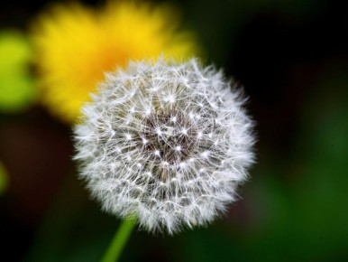 ����������: ��������� ��������� �� ����� �������