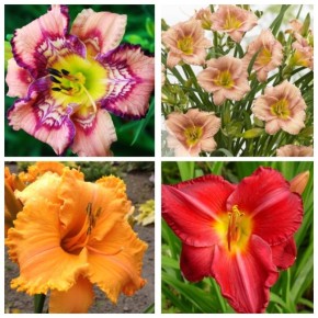 ���������: ����� ��� ������� ���������