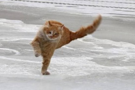 ����� �����. �� ���������� ��� ����������, 25-26 ����� � ���� ��������� ������� ����� 15-20 �/�