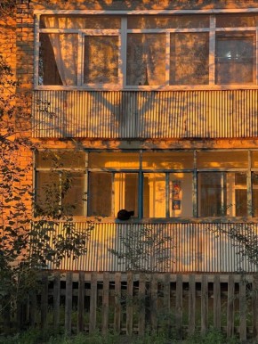 ������ ����, �����������!. ������ ���������� ������� ����: ������� ������ @zabrtk | MAX | VK