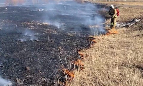 � ���������-������������� ���������� �������� ������������ ������