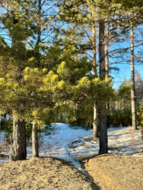 ������ ����, �����������! �� ��������� �����, 25 �����