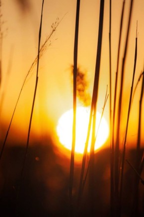 ������ ����. ����� ������� �������� ����� ������������� ������! ���������� ����! ������ �� ����� ������ ����� ���������� � ���