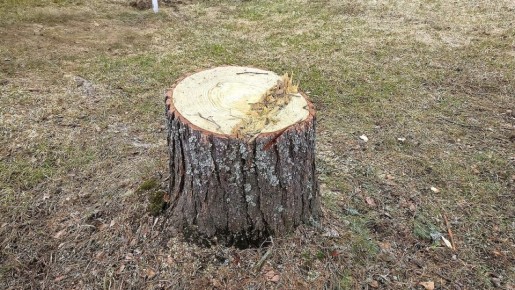 ����������� ���������� �� ���: ����� ������������ � ��������