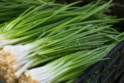 Секреты долгого хранения зеленого лука: свежесть до двух месяцев