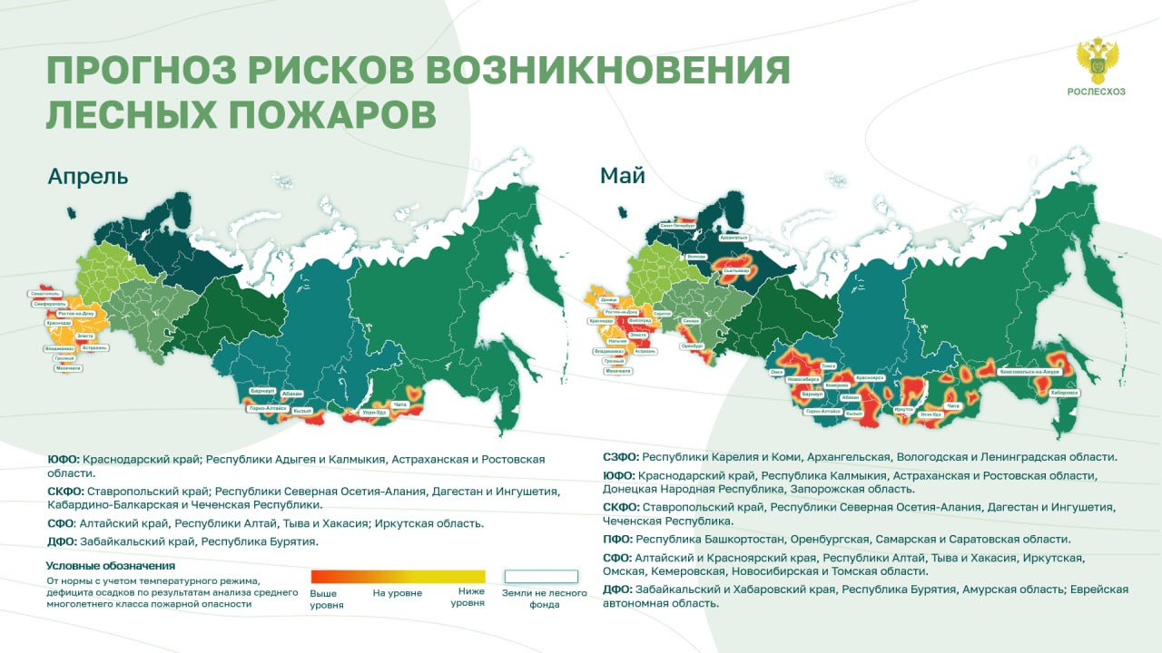 Глава Рослесхоза Иван Советников призвал граждан соблюдать правила пожарной безопасности в лесах и поручил регионам привести силы и средства по тушению лесных пожаров в максимальную готовность