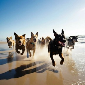 ��������� 13 ��������� �����