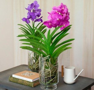 ������� �����: ����, ����������� � ������ ��� ����������