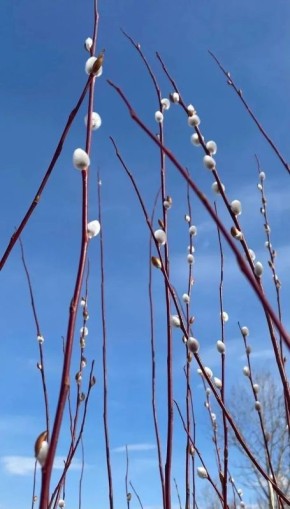 ������ ����, ����������! ������� � �������, 27 �����