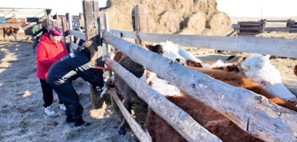 � ���������� �������� ���������� �������������������� ��������