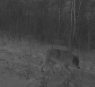 ���� ����� � �������� �����������